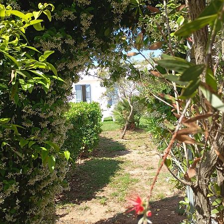 Li Curti B&B Melissano Exterior foto