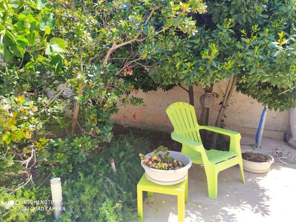 Li Curti B&B Melissano Exterior foto