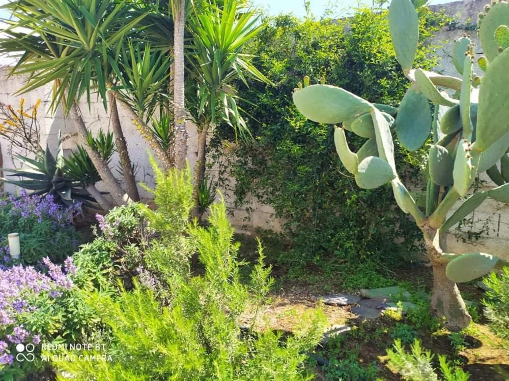 Li Curti B&B Melissano Exterior foto