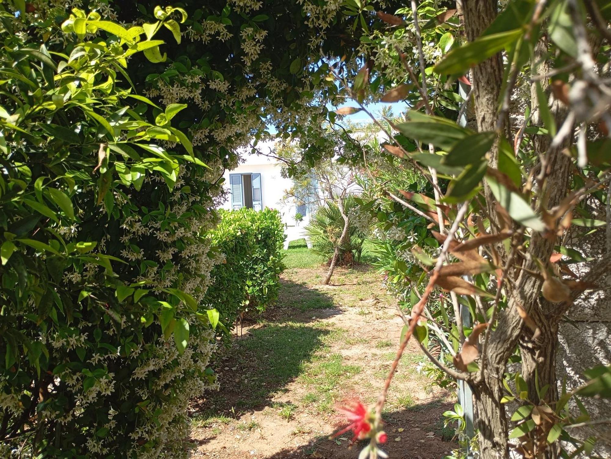 Li Curti B&B Melissano Exterior foto