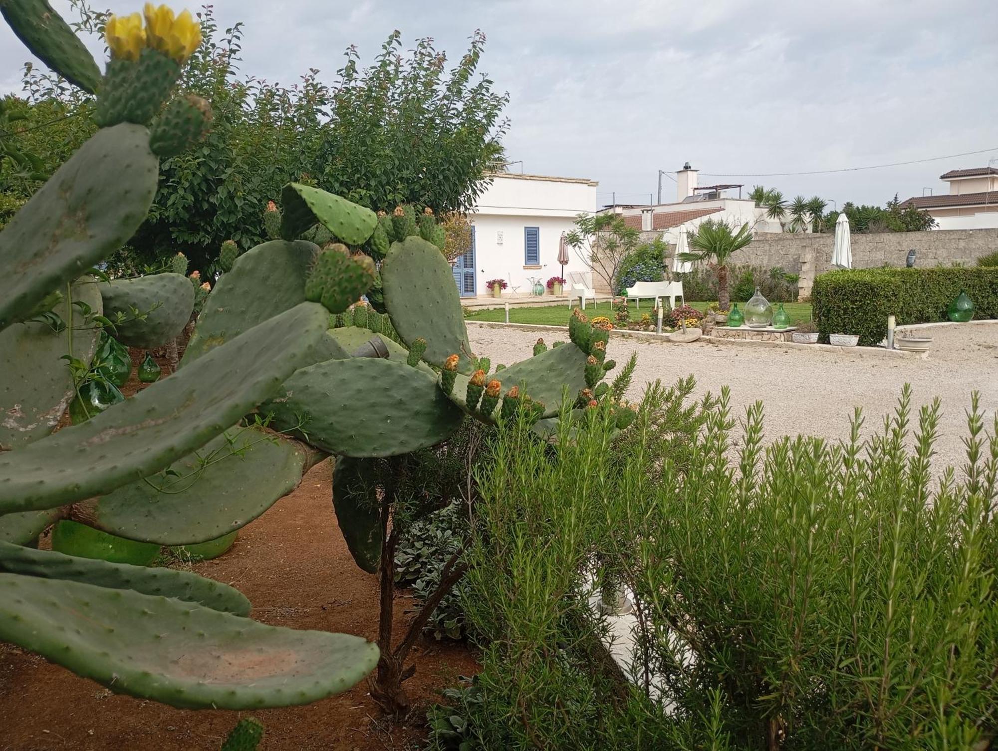 Li Curti B&B Melissano Exterior foto