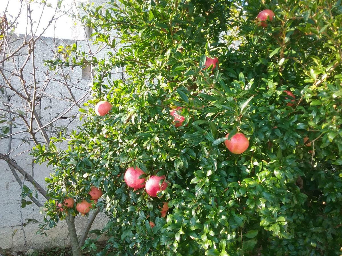 Li Curti B&B Melissano Exterior foto