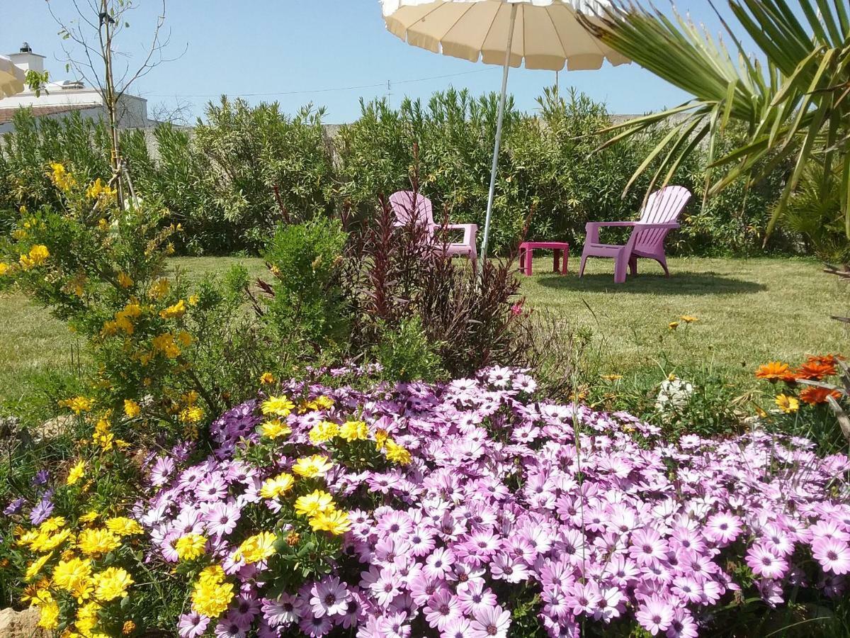 Li Curti B&B Melissano Exterior foto